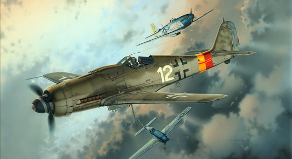 1/48 フォッケウルフ Fw190D9